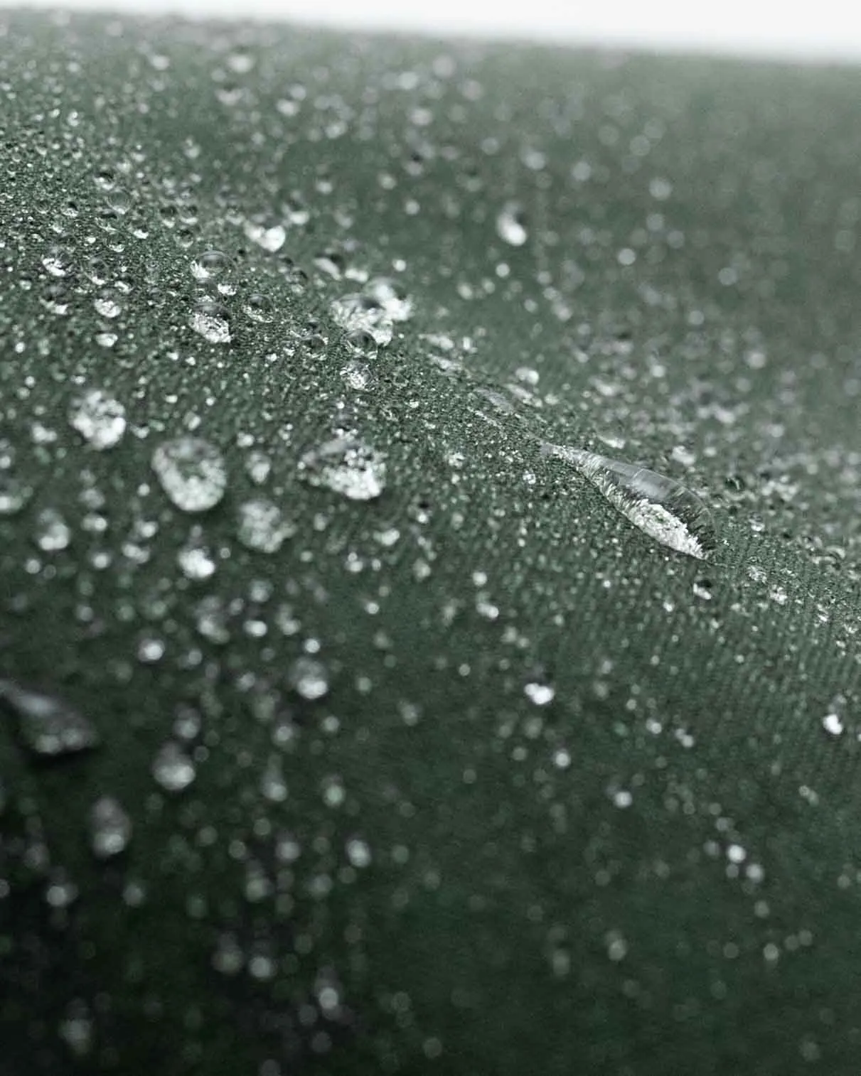3m Coated Hedgerow dry wax