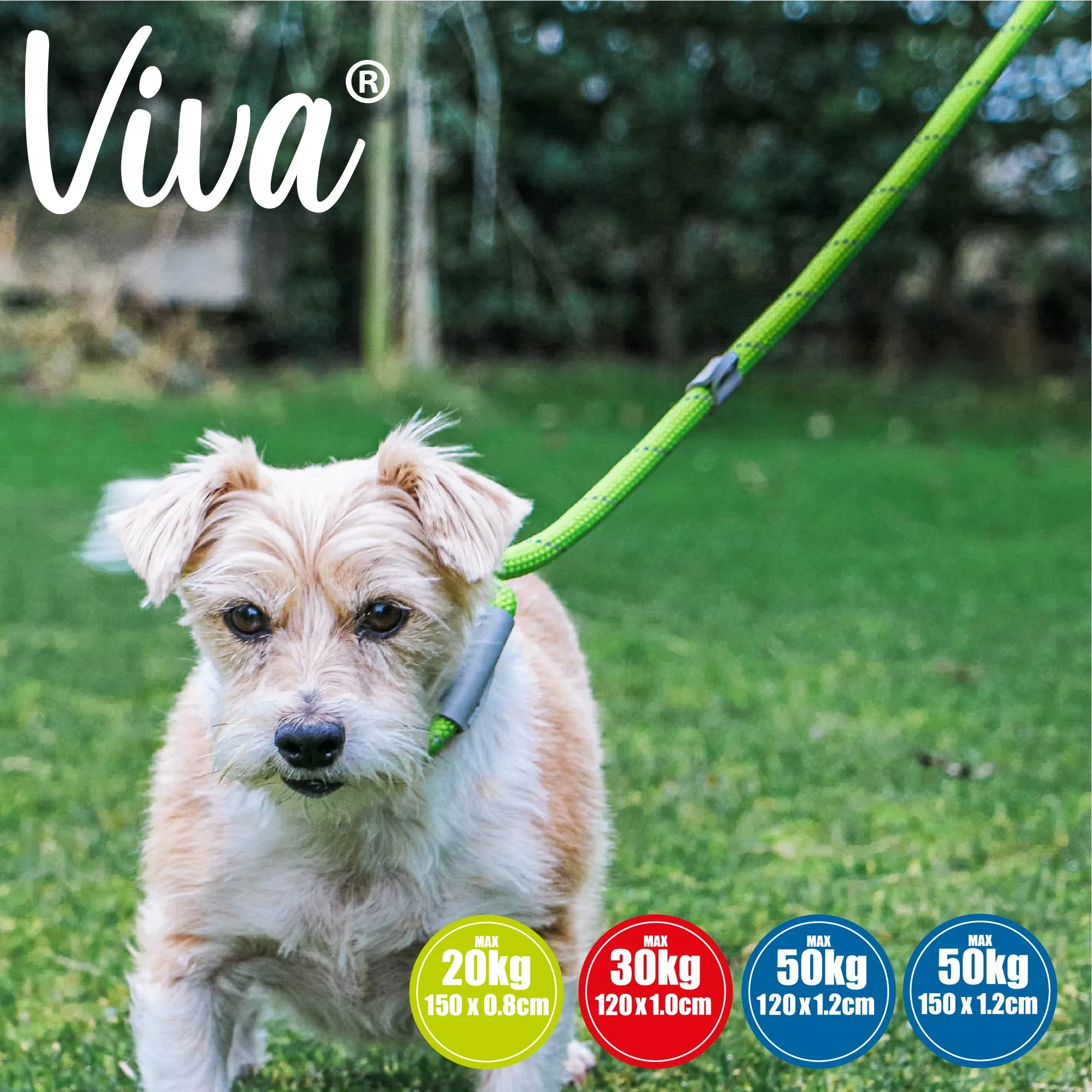 Ancol - Viva Nylon Reflective Rope Slip Lead - Purple - 120cm x 10mm (max 30kg)